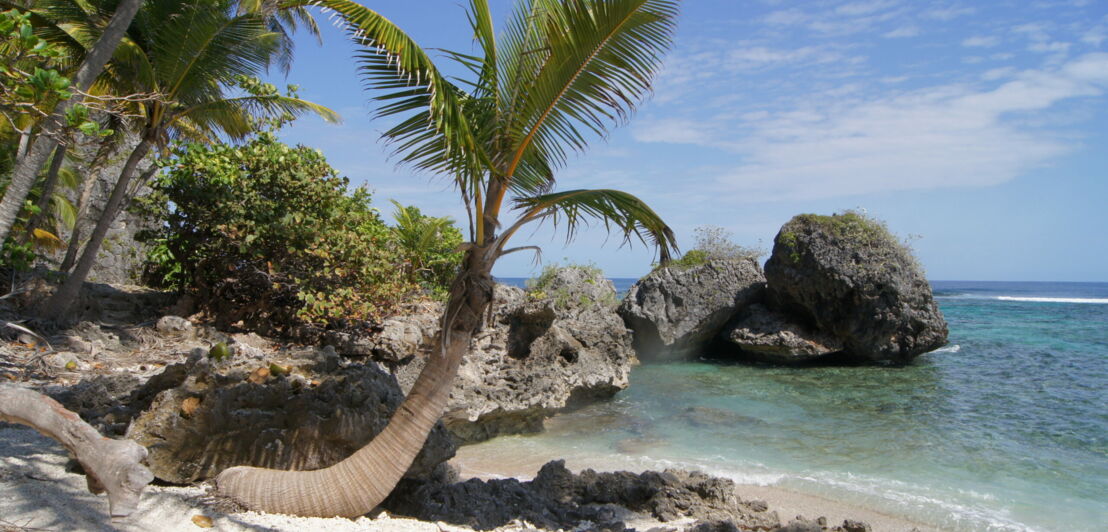 Eine Bucht in der Dominikanischen Republik mit Felsen und Palmen
