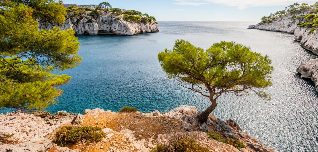 Kalksteinklippen der Calanques zwischen Cassis und Marseille an der französischen Mittelmeerküste