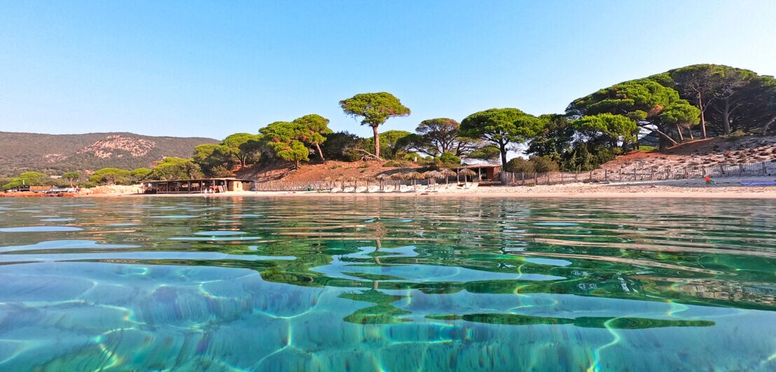 Der Strand Palombaggia auf Korsika mit türkisblauem Wasser