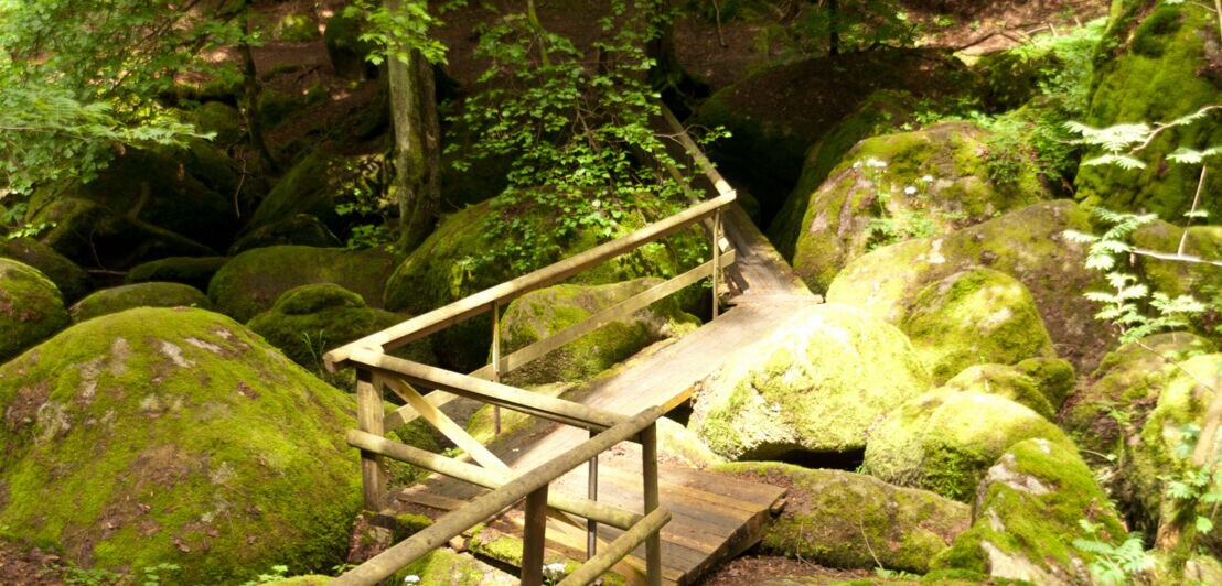Eine Holzbrücke im Naturschutzgebiet Doost in Bayern