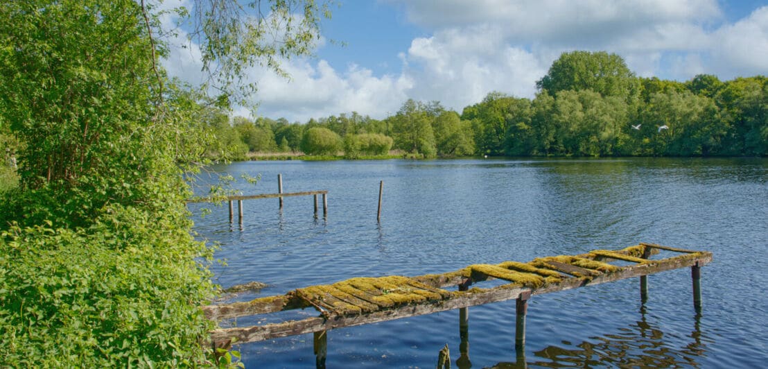 Ein See, alte moosbewachsene Stege führen aufs Wasser
