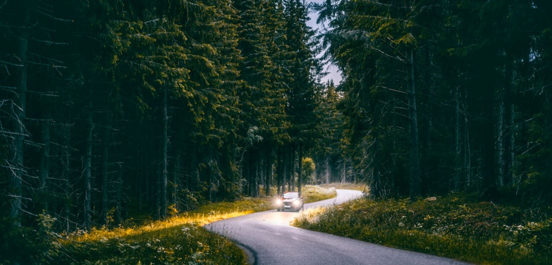 Ein Auto fährt durch einen Wald