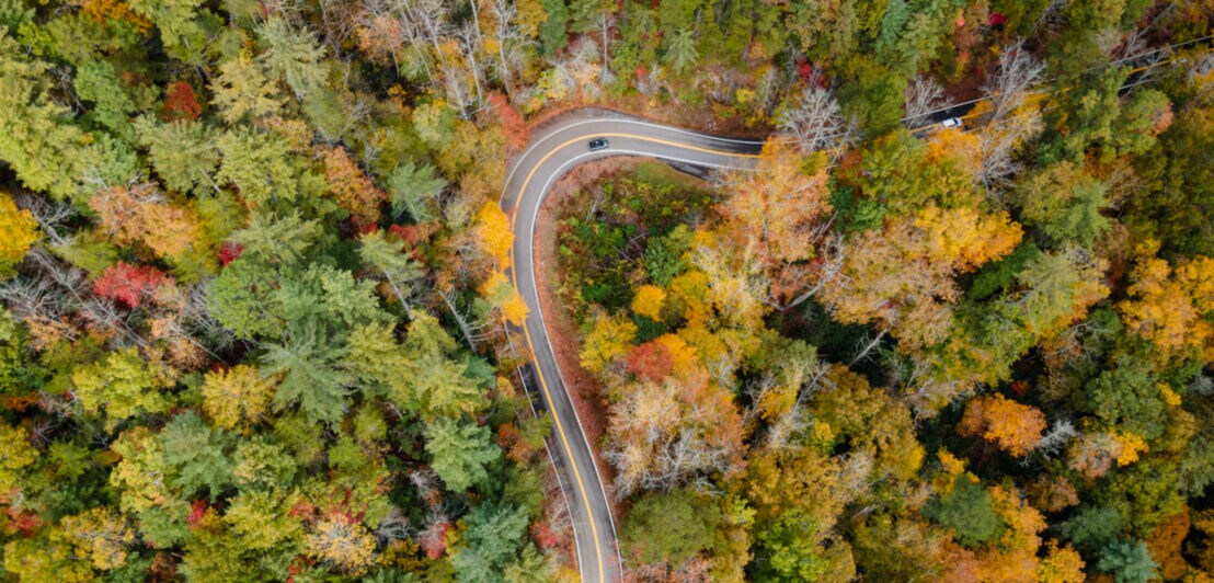 Luftaufnahme einer Straße in den Smoky Mountains
