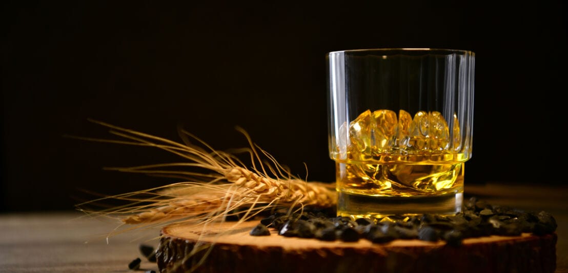 Ein Glas mit Whiskey, daneben Malz und Gerste