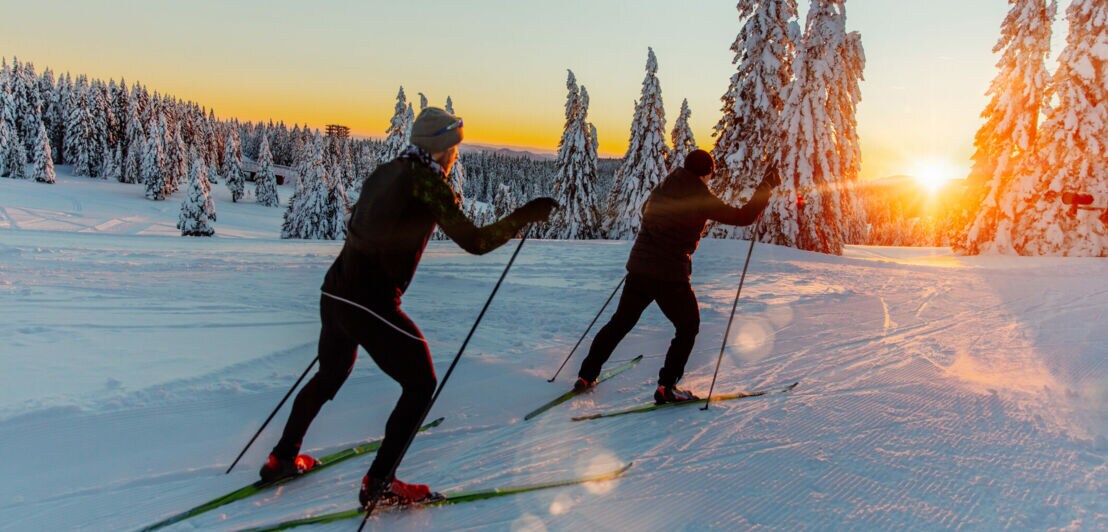 Zwei Männer auf Skiern fahren dem Sonnenuntergang entgegen.