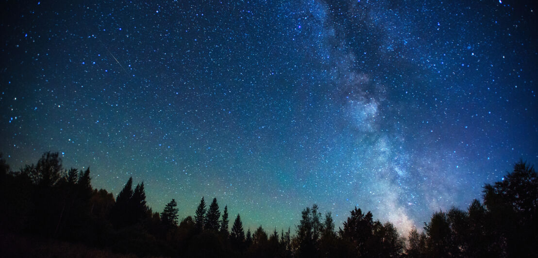 Nachthimmel mit vielen Sternen über einem Wald.