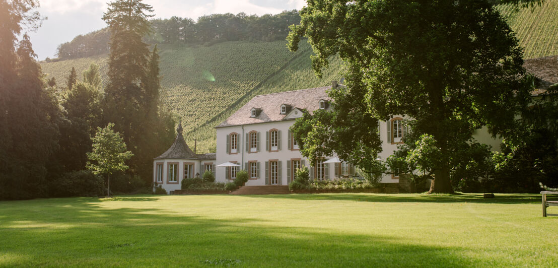 Das historische Haupthaus auf Weingut Von Othegraven, umgeben von Rasenflächen und Bäumen