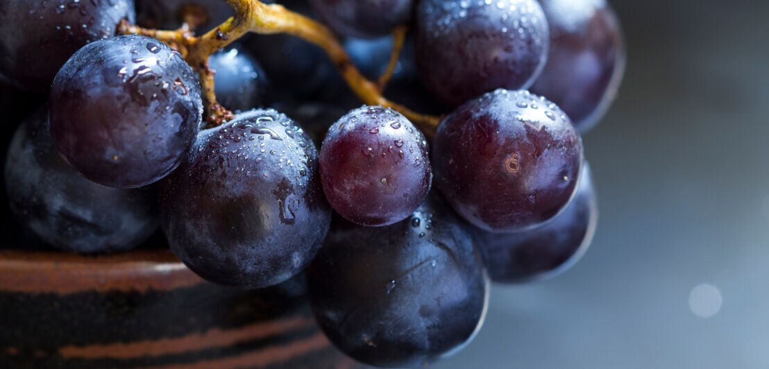 Detailaufnahme einer Schale mit Weintrauben
