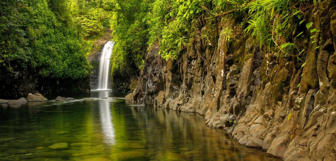 Ein See im Regenwald mit Wasserfall