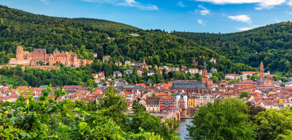 Panoramaaufnahme von Heidelberg im Sommer