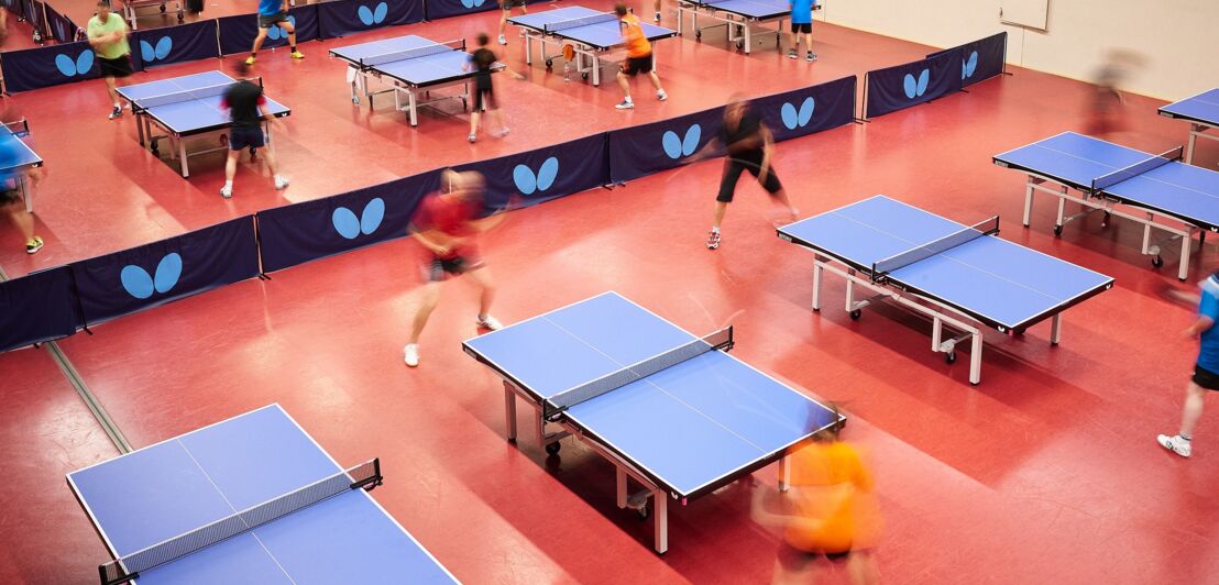 Mehrere Tischtennisplatten in einer Halle in der Tischtennisschule Zugbrücke Grenzau.