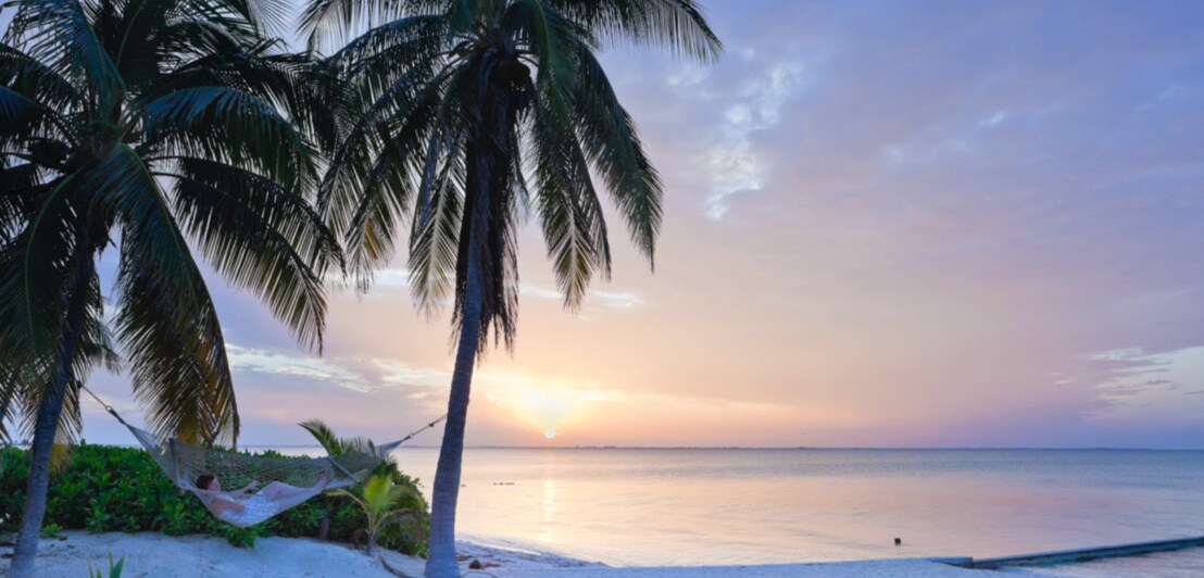 Eine Frau in einer Hängematte zwischen Palmen an einem Strand