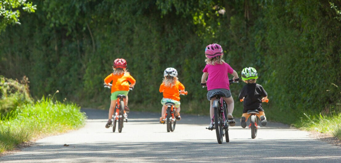Vier Kinder in der Rückansicht auf ihren Fahrrädern und Laufrädern