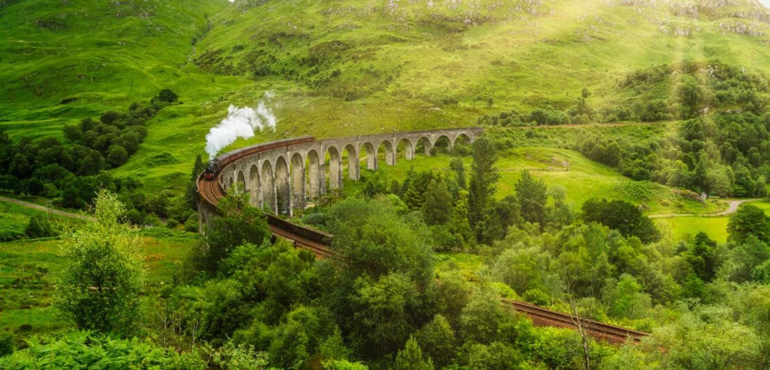 Ein Zug mit einer Dampflok in einer grünen Landschaft