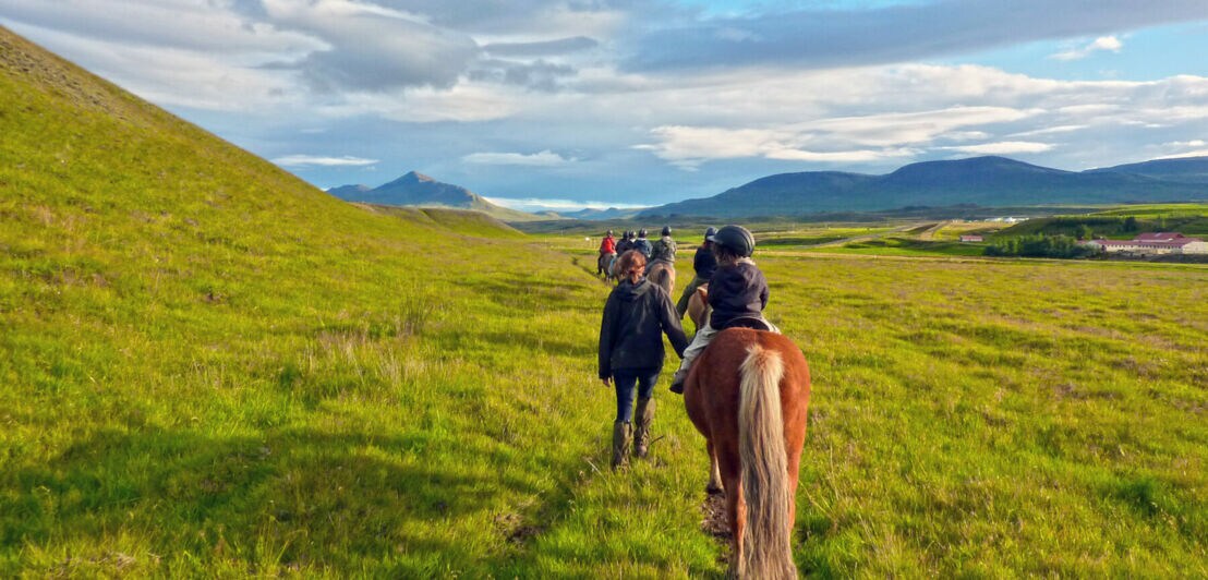 Eine geführte Reitgruppe in einer grünen isländischen Landschaft