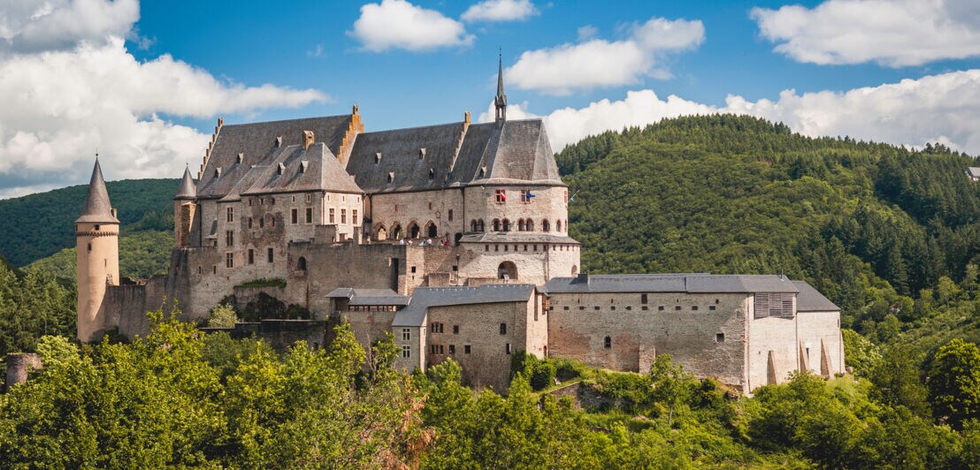 Mittelalterliche Burg auf einem Hügel, umgeben von Bäumen.
