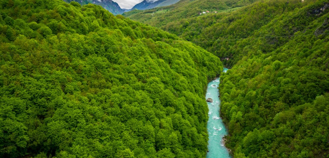 Ein türkisfarbener Fluss fließt durch ein grün bewaldetes Gebirge