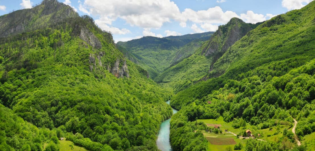 Ein Fluss zwischen grünen Wäldern und Gebirge