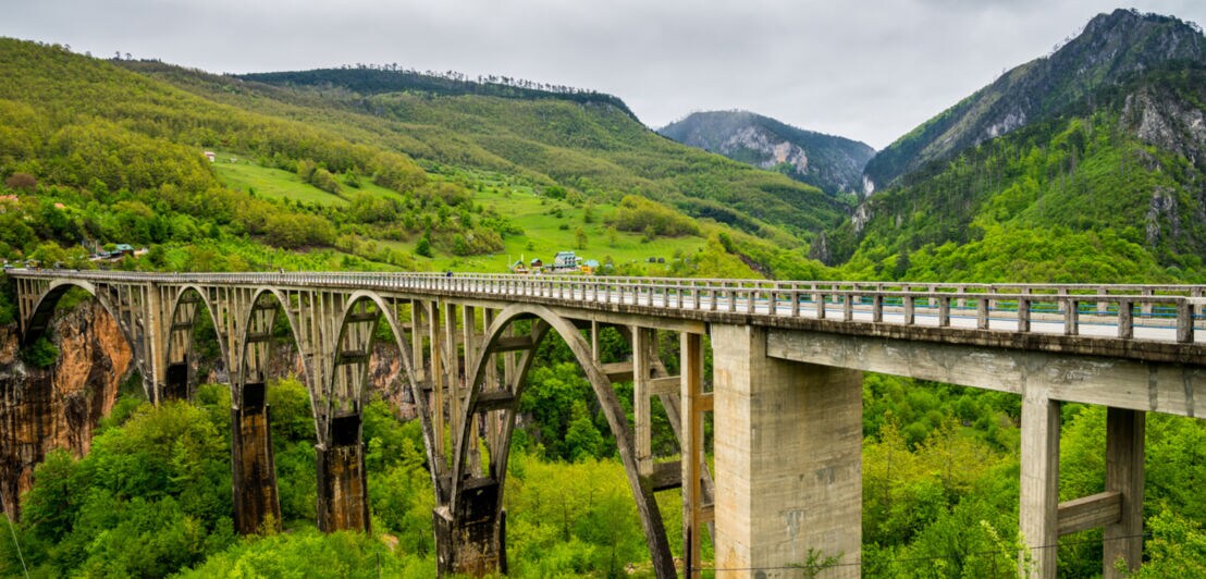 Eine große Bogenbrücke, die sich über grünem Wald erstreckt