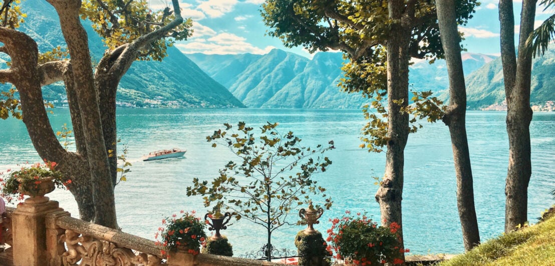 Blick auf den Comer See zwischen mediterranen Bäumen hindurch und dem Alpenpanorama im Hintergrund