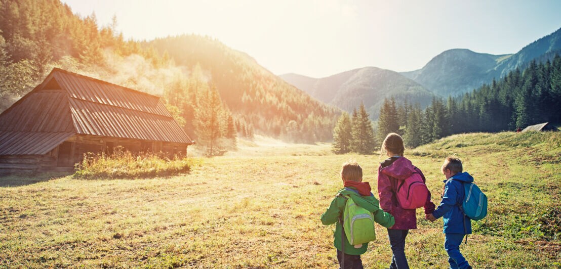 Drei Kinder laufen Hand in Hand in einem bergigen Gebiet auf eine Holzhütte zu