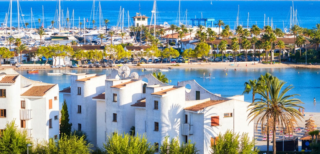 Blick auf den Hafenbereich von Alcúdia mit weißen Steinhäusern und Palmen.