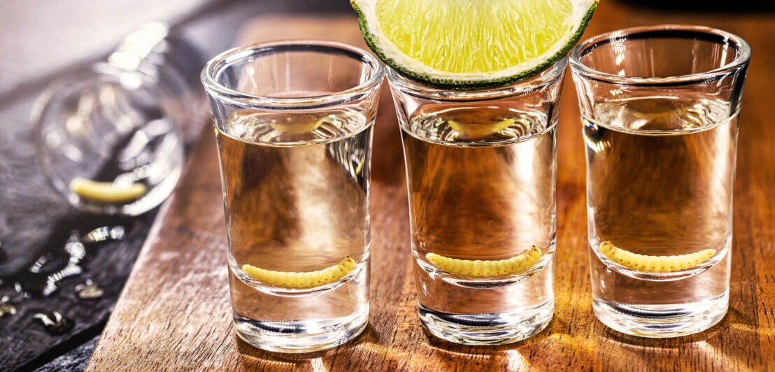 Drei Tequila-Shots auf einem Holzbrett, garniert mit Limette und Wurm
