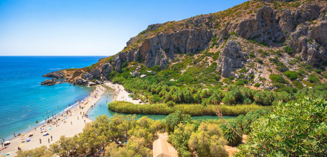 Belebte Bucht mit Sandstrand und natürlichem Palmenwald, umgeben von Felsen.