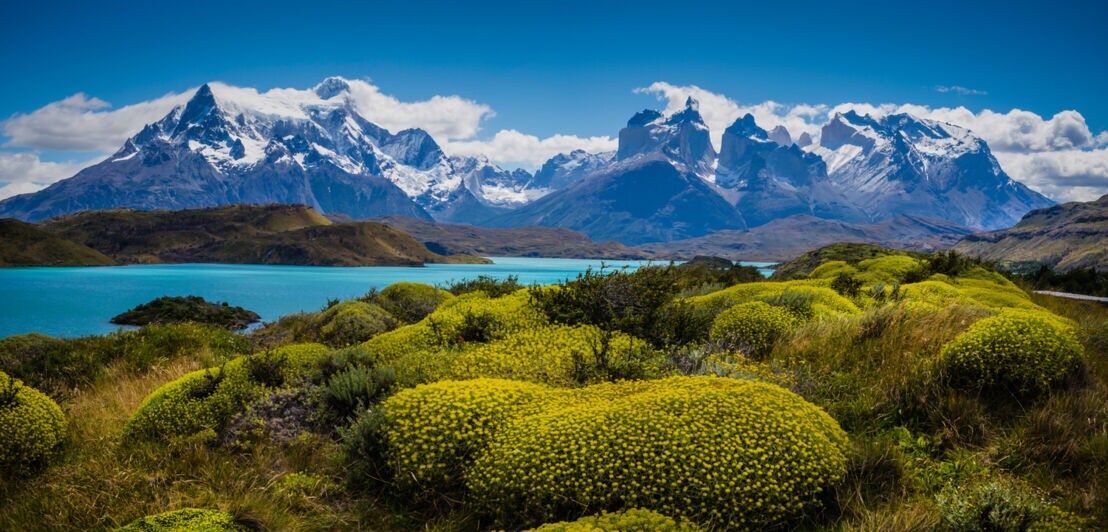 Nationalpark Torres del Paine mit Bergpanorama, See und Graslandschaft