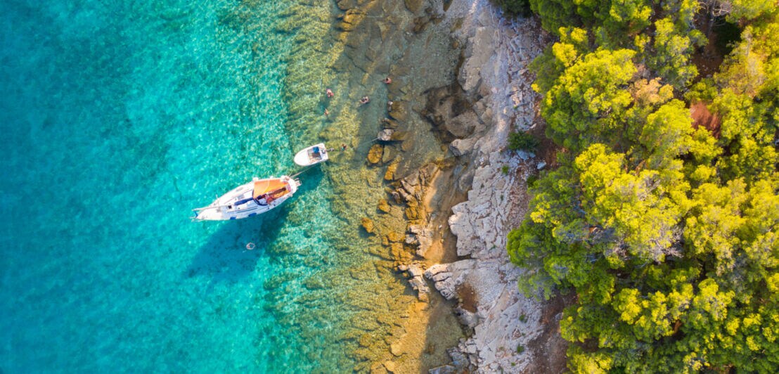 Ein kleines Segelboot liegt im türkisfarbenen Wasser neben dem Ufer, das mit einem üppigen Pinienwald bedeckt ist