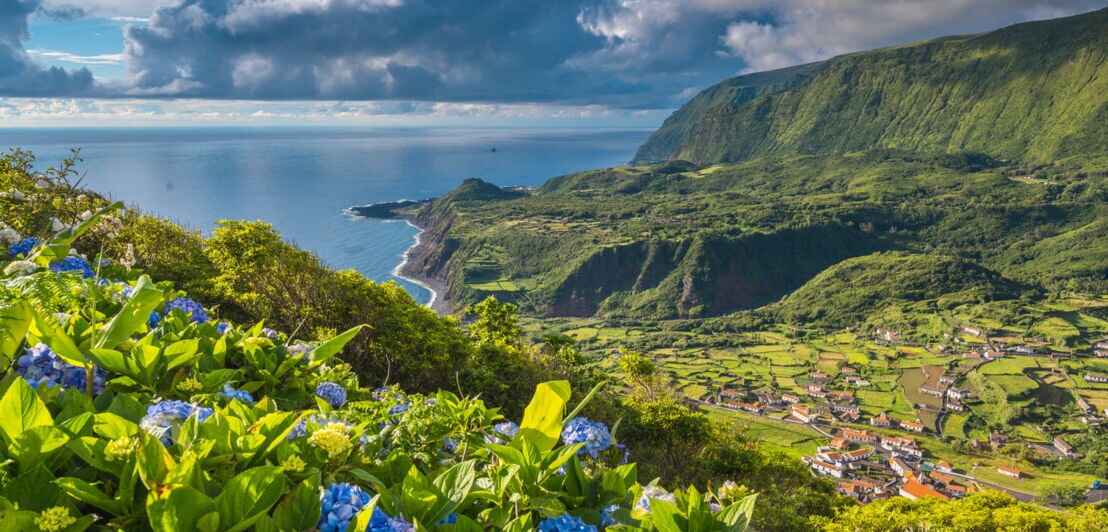 Bergige Küstenregion mit Steilklippen und blauen Hortensien