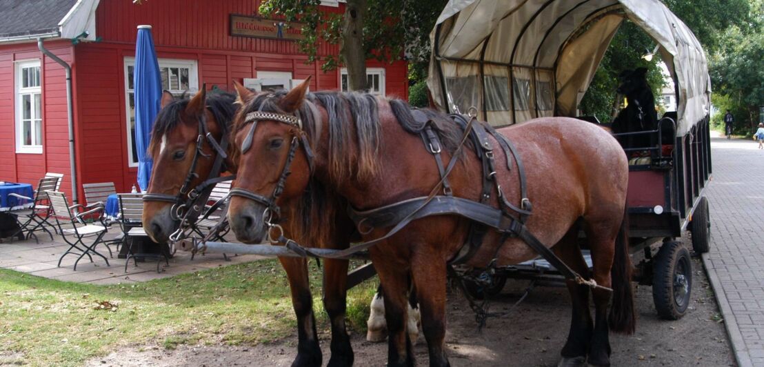 Eine Pferdekutsche mit zwei Pferden parkt vor einem roten Wirtshaus
