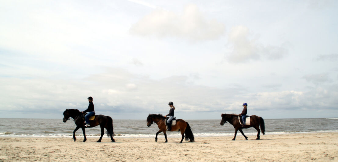Drei Personen auf Pferden reiten den Strand von Langeoog entlang