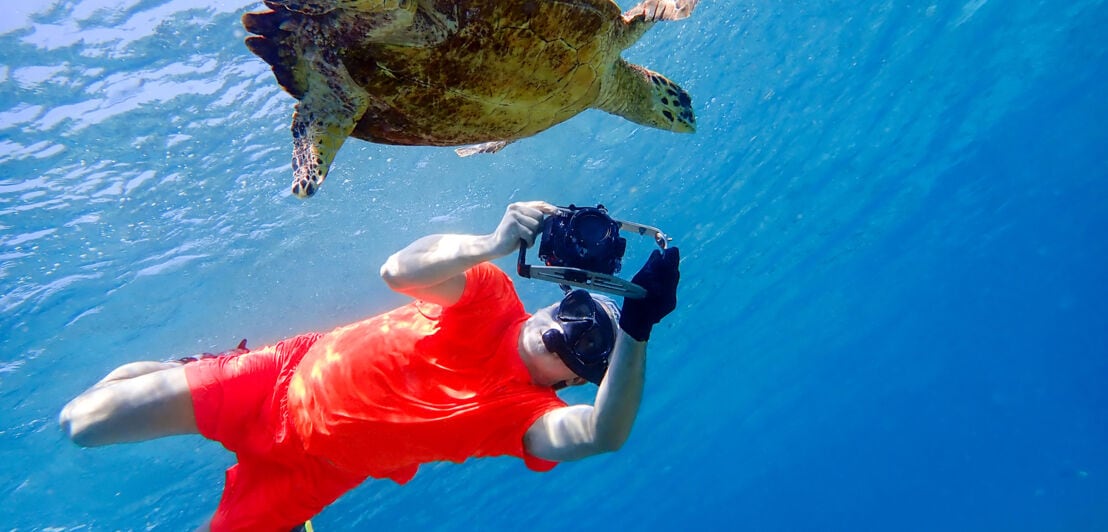 Ein Mann fotografiert unter Wasser eine Schildkröte.