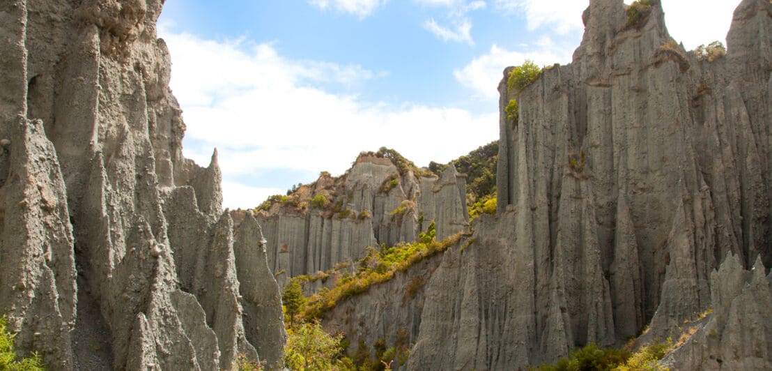 Die Felssäulen Putangirua Pinnacles in Neuseeland