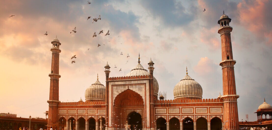 Eine Moschee mit einem großen Platz davor, auf dem zahlreiche Tauben sitzen.