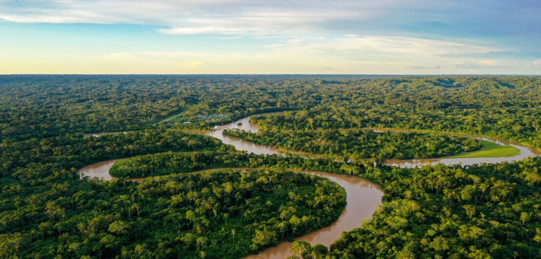 Luftaufnahme des Amazonasgebietes mit mäandrierendem Flussverlauf