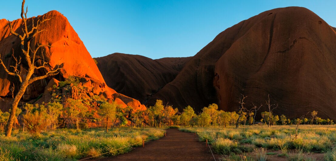 Eine große, rote Felsformation in der Abendsonne, im Vordergrund ein Sandweg durch grünes Steppengras