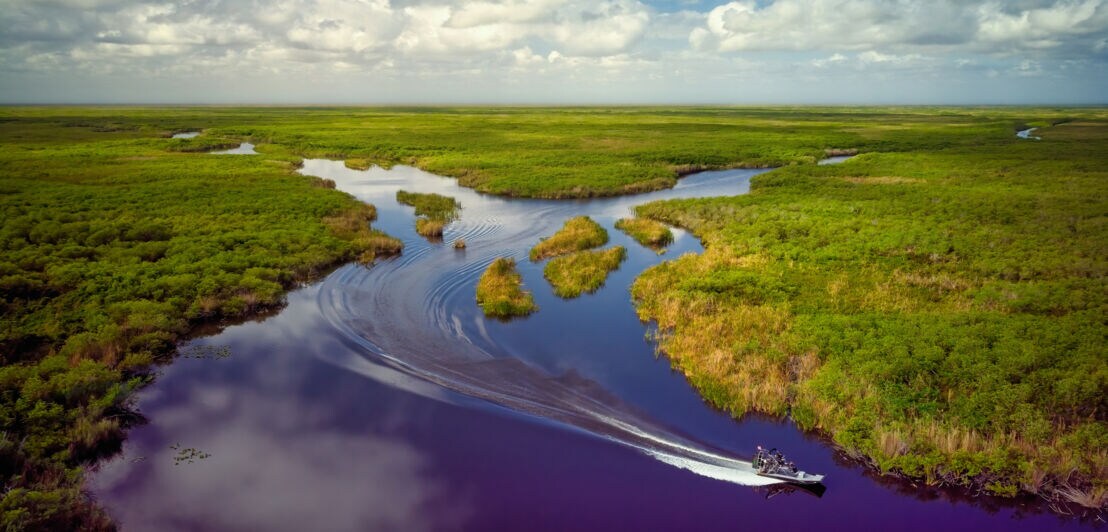 Luftbild der Everglades mit Airboat