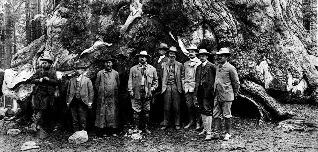 Historisches Foto mehrerer Männer vor einem Mammutbaum.