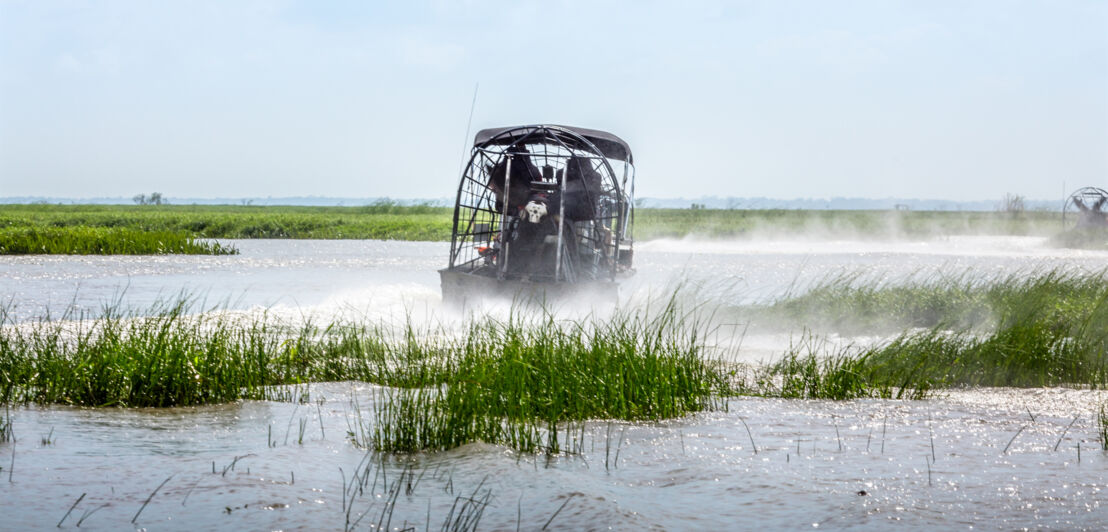 Ein Airboat fährt in den Everglades über das Wasser