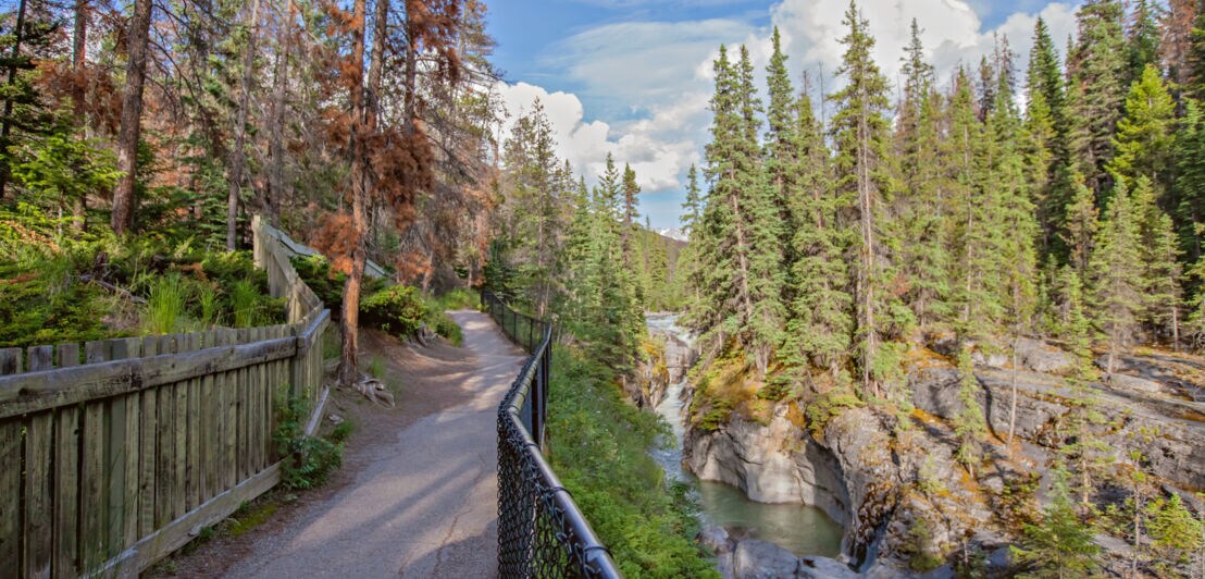 Blick auf eine Landschaft mit Wanderweg an einem Fluss im Jasper-Nationalpark in Kanada
