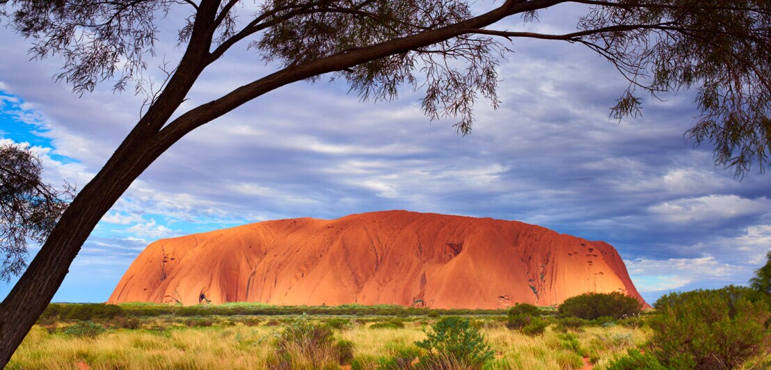 Der rote Uluru-Fels in der Grassteppe Australiens