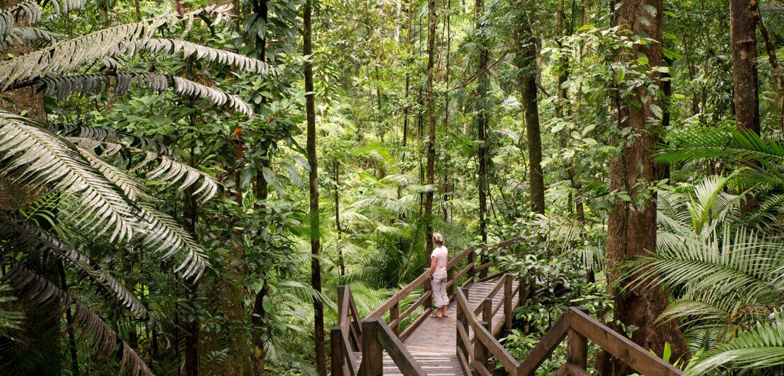 Eine Frau auf einer Holztreppe im Regenwald 