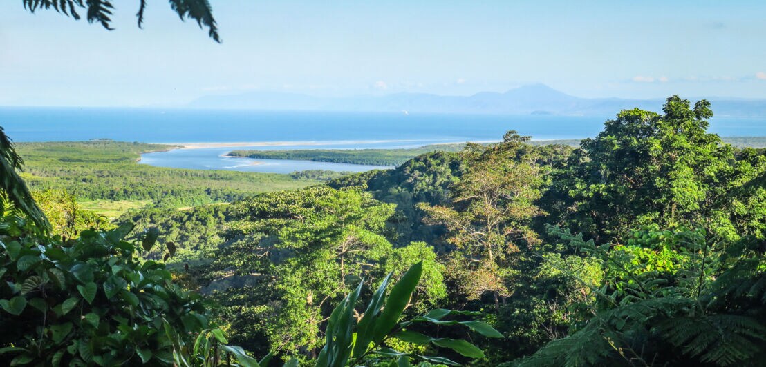 Tropisches Regenwaldgebiet am Meer
