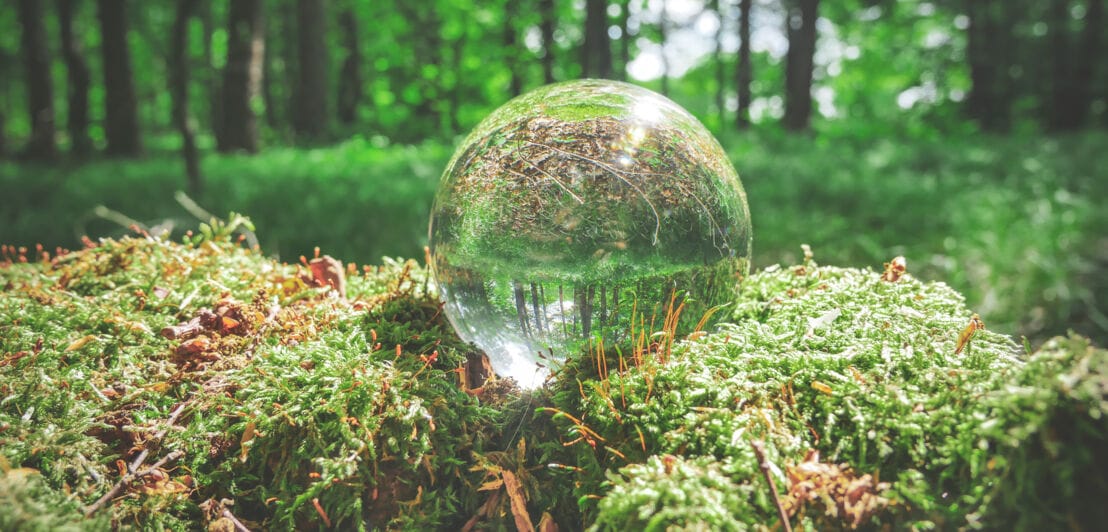 Eine Glaskugel liegt auf einem Stück Moos im Wald