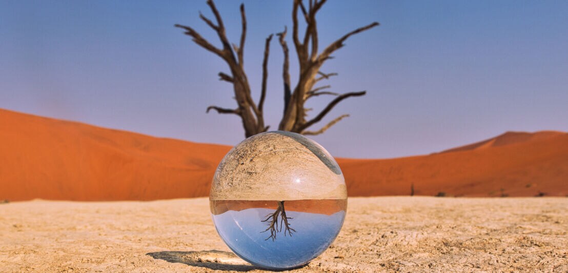 Eine Glaskugel in einer Wüste, die einen Baum verkehrtherum abbildet