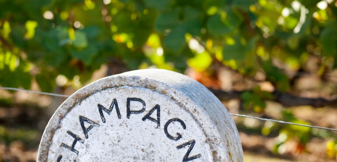 Ein weißer Markierungsstein mit dem Aufschrift Champagne in einem Weinanbaugebiet