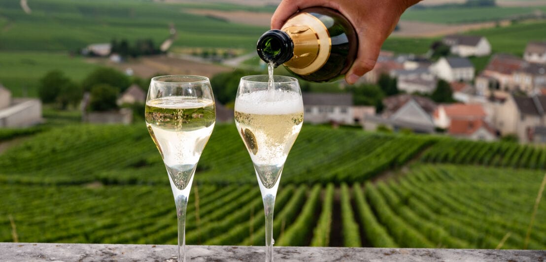 Verkostung von Brut und Demi-Sec Weißchampagner-Sekt aus speziellen Flötengläsern mit Champagner-Weinbergen im Hintergrund in der Nähe von Cramant, Frankreich