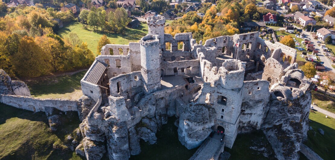 Luftaufnahme der Burg Ogrodzieniec in Polen